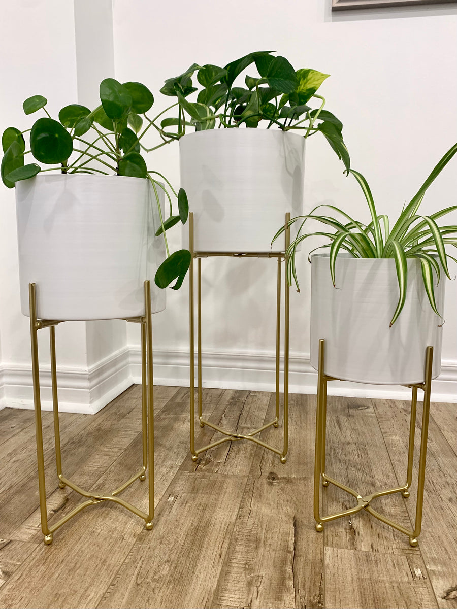 Modern White Metal Planter Pots on Gold Plant Stands