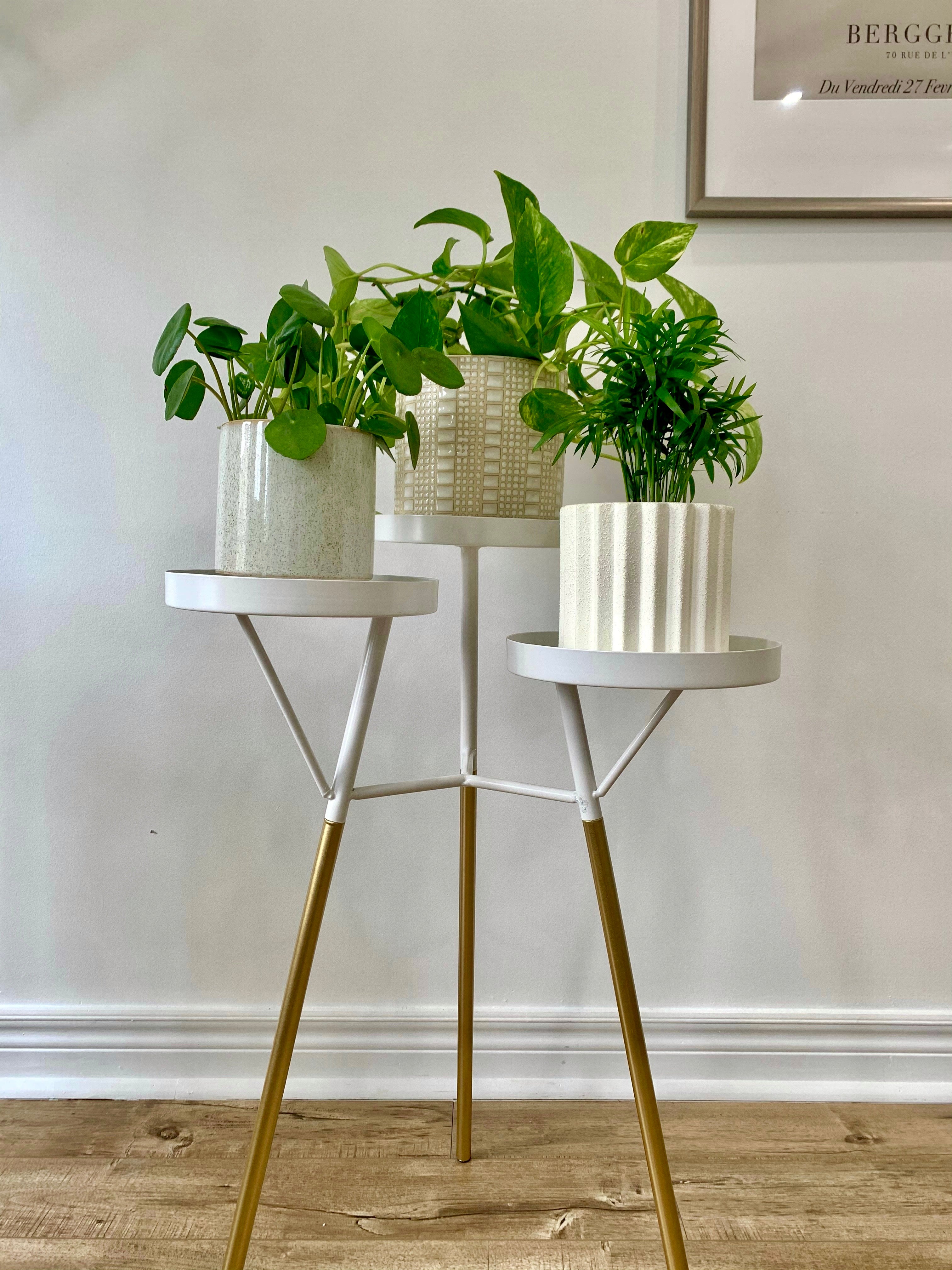 White plant on sale stand table