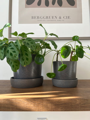 Open image in slideshow, Charcoal Composite Ceramic Plant Pots with Saucers
