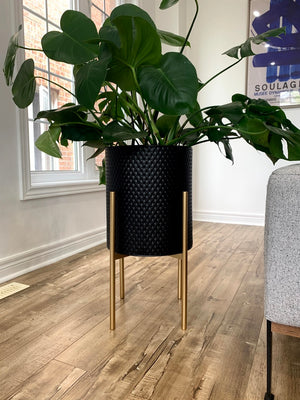 Open image in slideshow, Black Pebbled Metal Planter Pots on Gold Plant Stands
