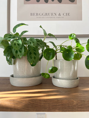 Open image in slideshow, Light Grey Composite Ceramic Plant Pots with Saucers
