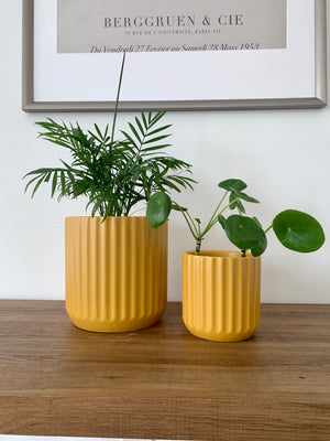 Open image in slideshow, Burnt Orange Ceramic Lines Planter Pots
