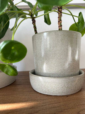 Light Grey Composite Ceramic Plant Pots with Saucers