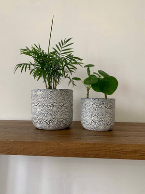 Open image in slideshow, Textured Floral Ceramic Planter Pots
