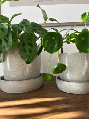 Light Grey Composite Ceramic Plant Pots with Saucers