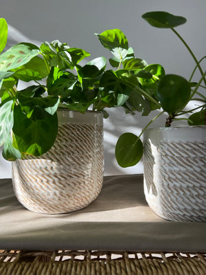 Wheatfield Beige Ceramic Plant Pots