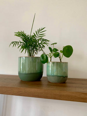 Seaside Green Ceramic Plant Pots