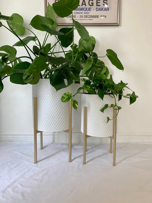 Open image in slideshow, White Pebbled Metal Planter Pots on Gold Plant Stands
