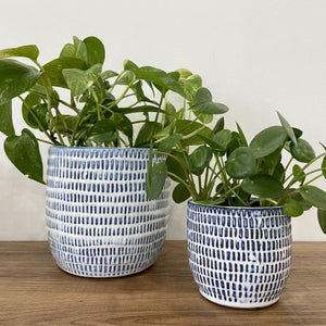 Open image in slideshow, Navy Cell Ceramic Plant Pots
