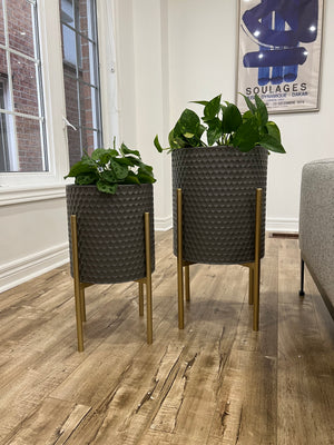 Open image in slideshow, Grey Honeycomb Metal Planter Pots on Gold Plant Stands
