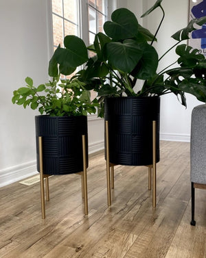 Open image in slideshow, Black Lines Metal Planter Pots on Gold Plant Stands
