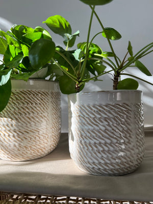 Wheatfield Beige Ceramic Plant Pots