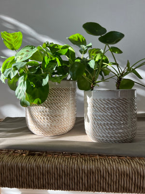 Wheatfield Beige Ceramic Plant Pots