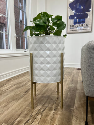 Open image in slideshow, White Diamond Metal Planter Pots on Gold Plant Stands
