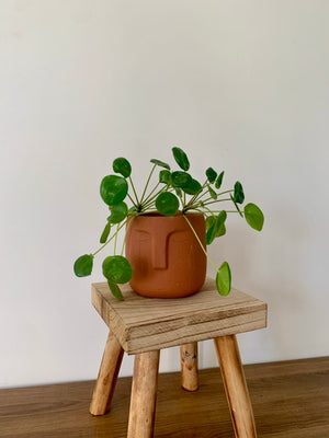 Reclaimed Timber Wood Riser / Stand / Stool / Tray