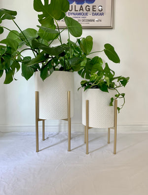 Open image in slideshow, White Texture Metal Planter Pots on Gold Plant Stands
