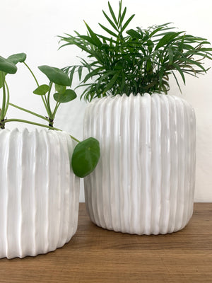 White Coral Ceramic Planter Pots