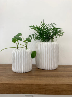 Open image in slideshow, White Coral Ceramic Planter Pots
