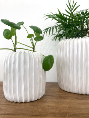 White Coral Ceramic Planter Pots